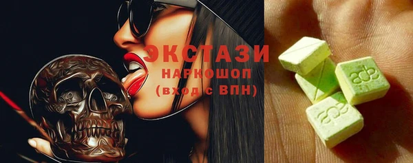 молекула духа Богородицк