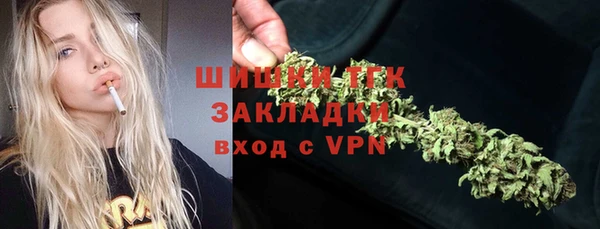 молекула духа Богородицк