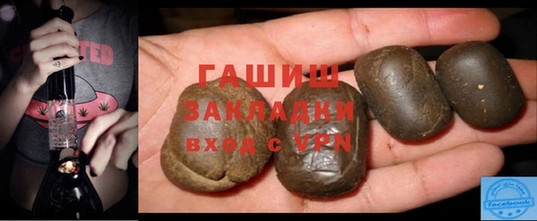 молекула духа Богородицк