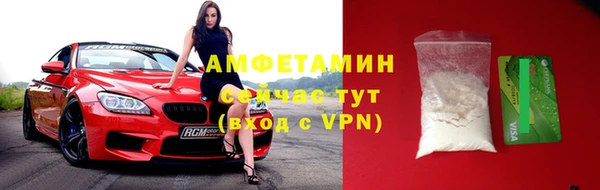 молекула духа Богородицк