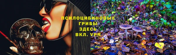 молекула духа Богородицк
