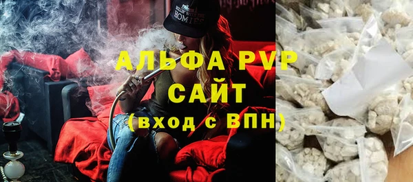 молекула духа Богородицк