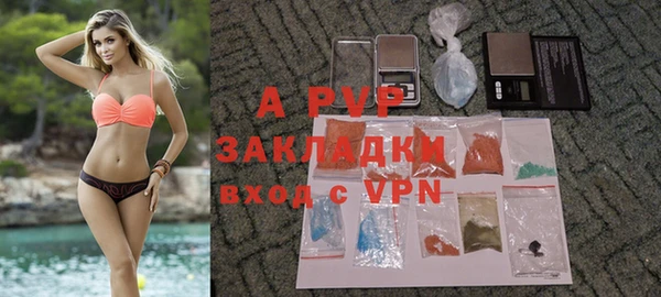 apvp Богданович