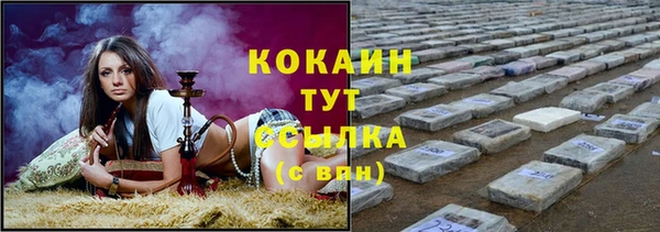 apvp Богданович