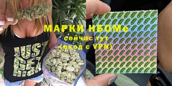 apvp Богданович