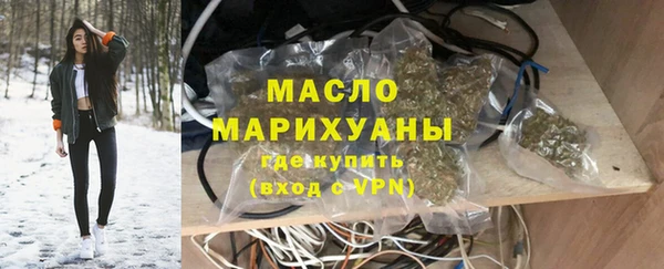 молекула духа Богородицк