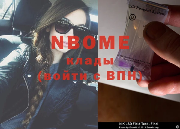 молекула духа Богородицк
