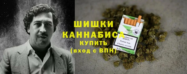 apvp Богданович