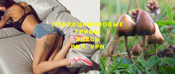 эйфоретик Богородск